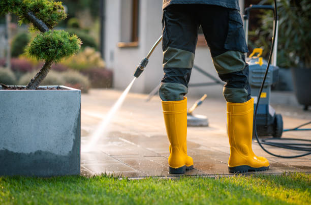 Best Roof Pressure Washing  in Baden, MD